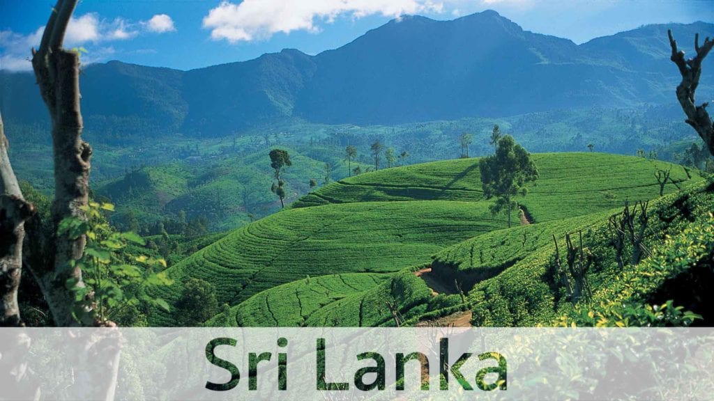 Sri Lanka lush landscape