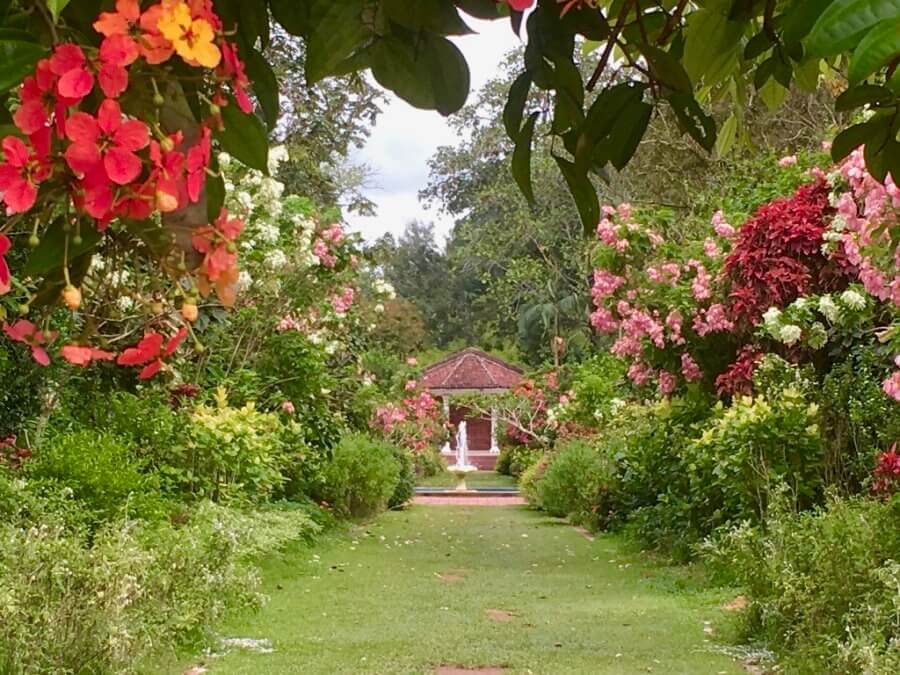 Penang gardens