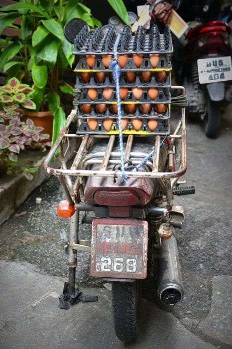 Egg delivery via scooter