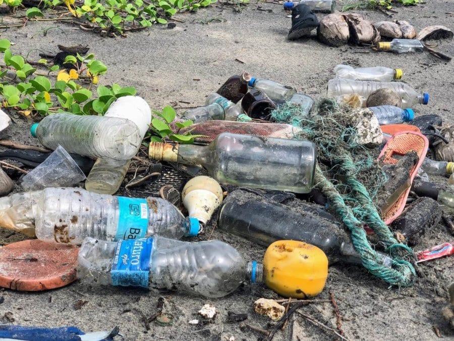 Garbage on the beach Expatriate in Malaysia