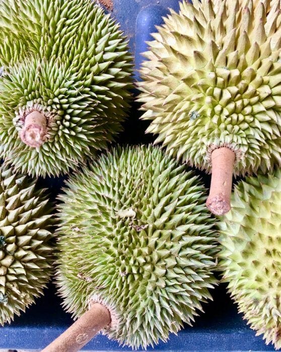 Spikey Durian Fruits