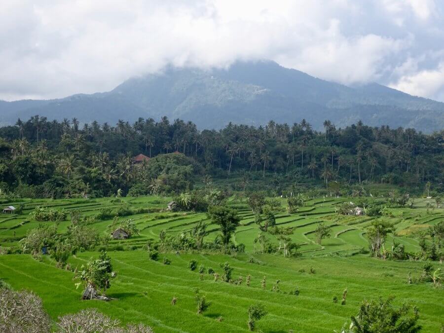 Rice paddies and Mount Agung, Bali must see places in Southeast Asia