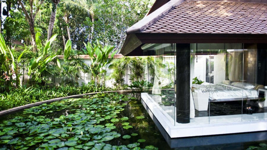 Banyan tree room garden pool