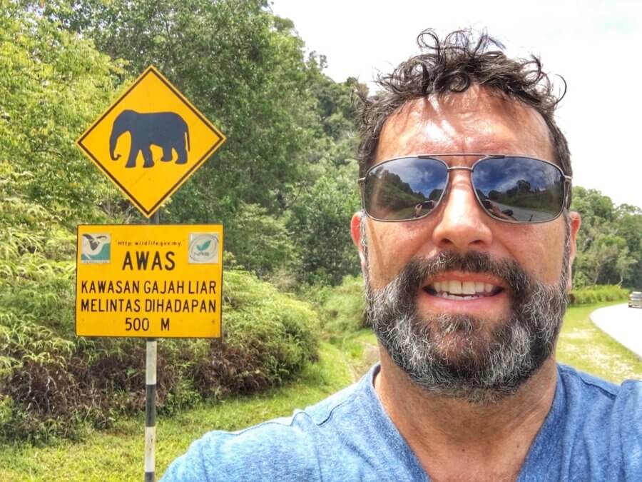 Mark with elephant crossing sign