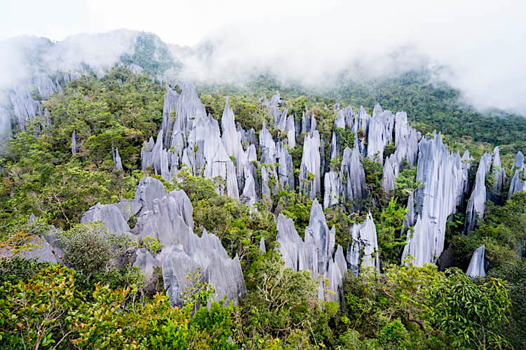 mulu national park pinnacles. reasons to visit Malaysia