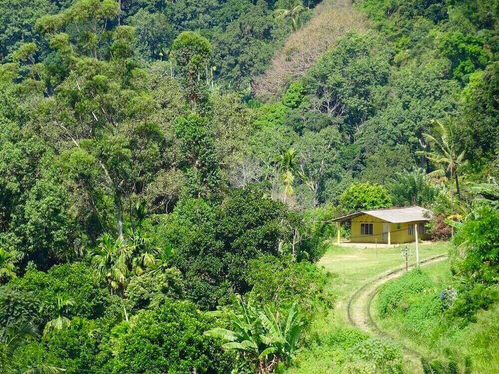 Yellow house hidden in lush Sri Lanka landscpae