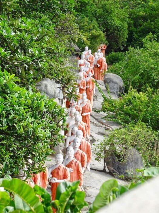 monks in a row 6 days in Sri Lanka