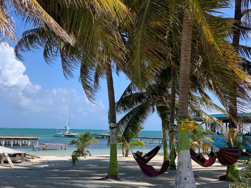 Beach, palms, hamocks in Belize