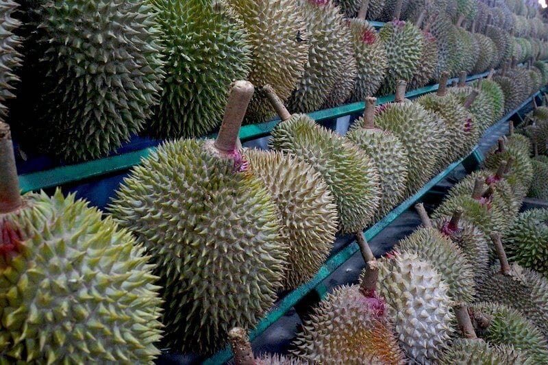 Durians at a stand 