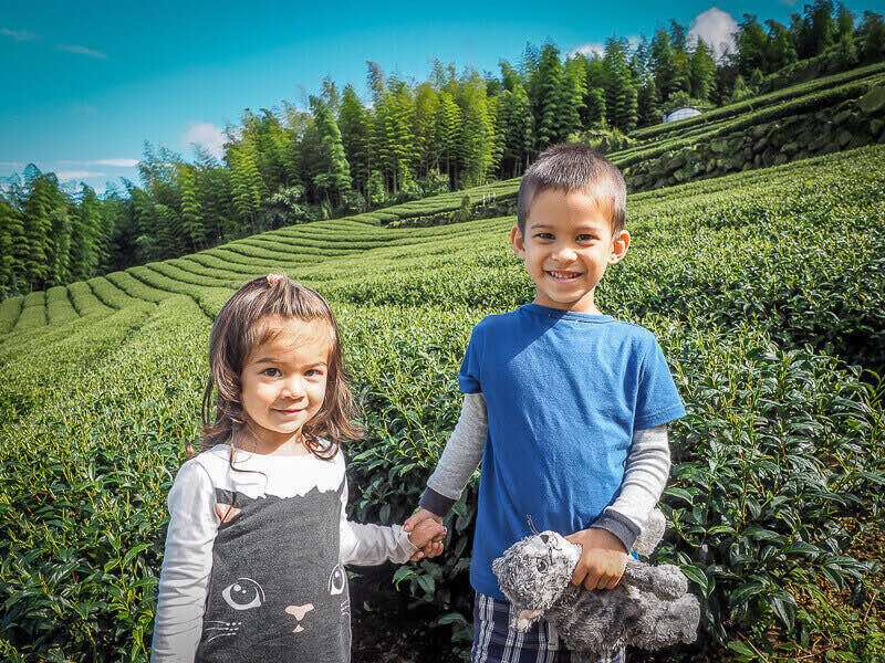 boy and girl holding hands in tea fields multicultural kids