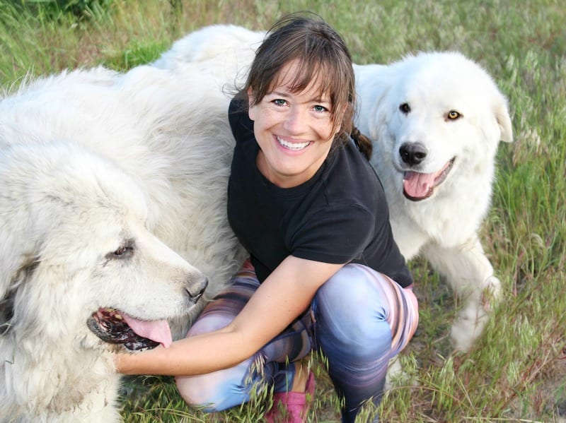 smiling woman with big white fluffy dogs