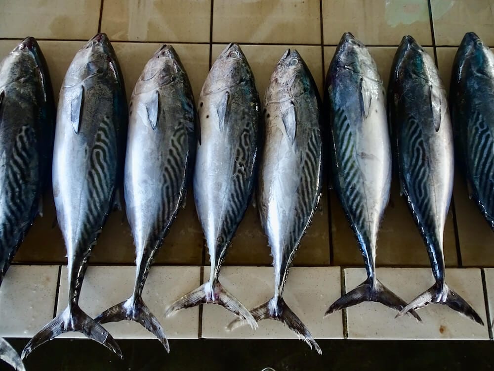 fresh fish at the market in Kota Kinabalu