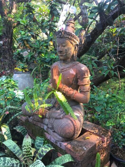 Buddha statue expat in Chiang Mai