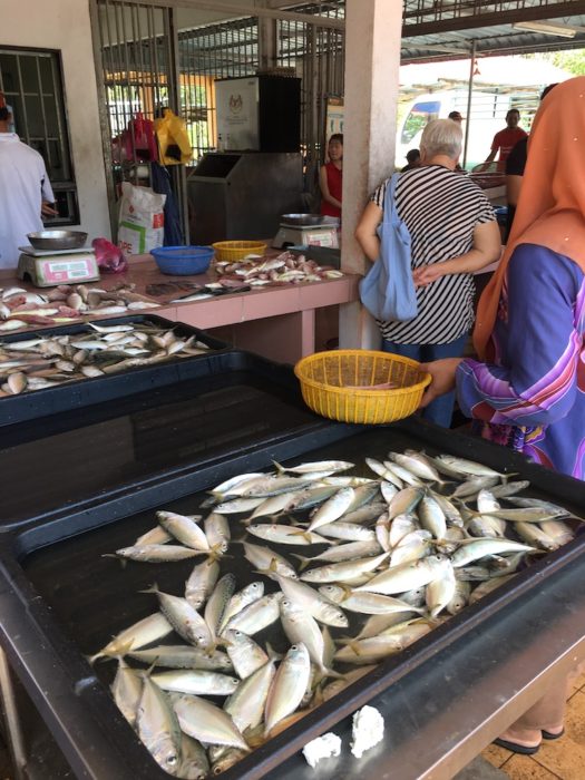 daily fish at the market