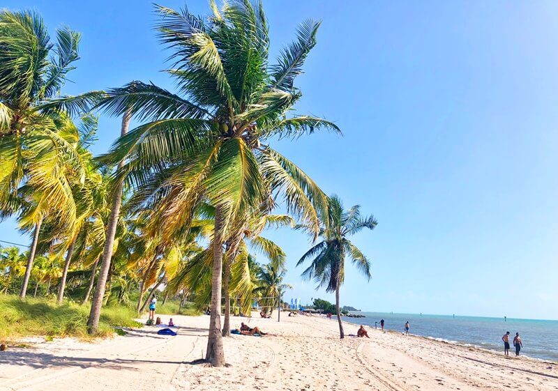 Key West, Florida. Wide beach with palm trees: reasons to move to another country. 