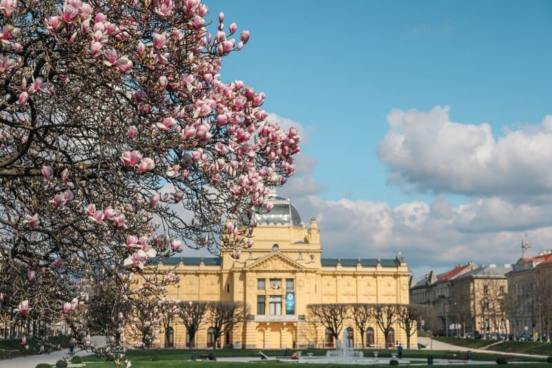 cherry blossoms in Zagreb, Croatia. Reasons to move to another country
