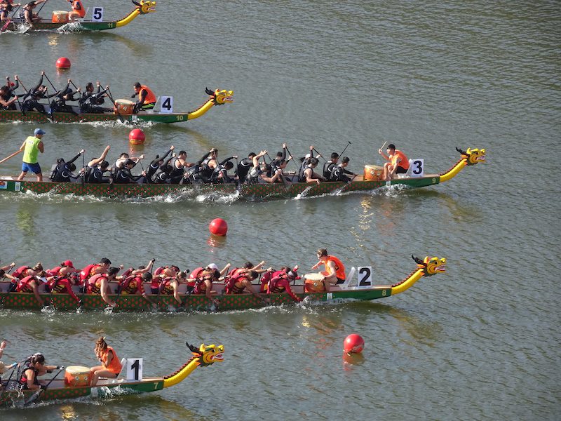 dragon boats in water