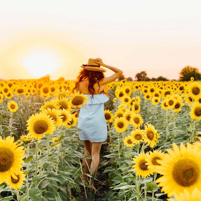 girl in sunflower field wearing hat