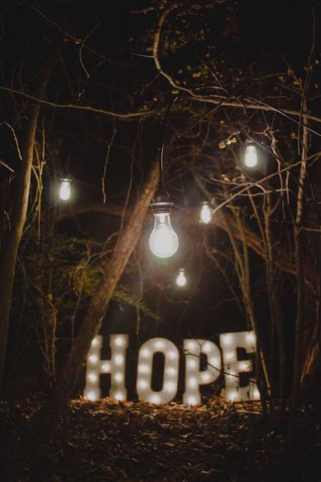 light up hope sign in trees