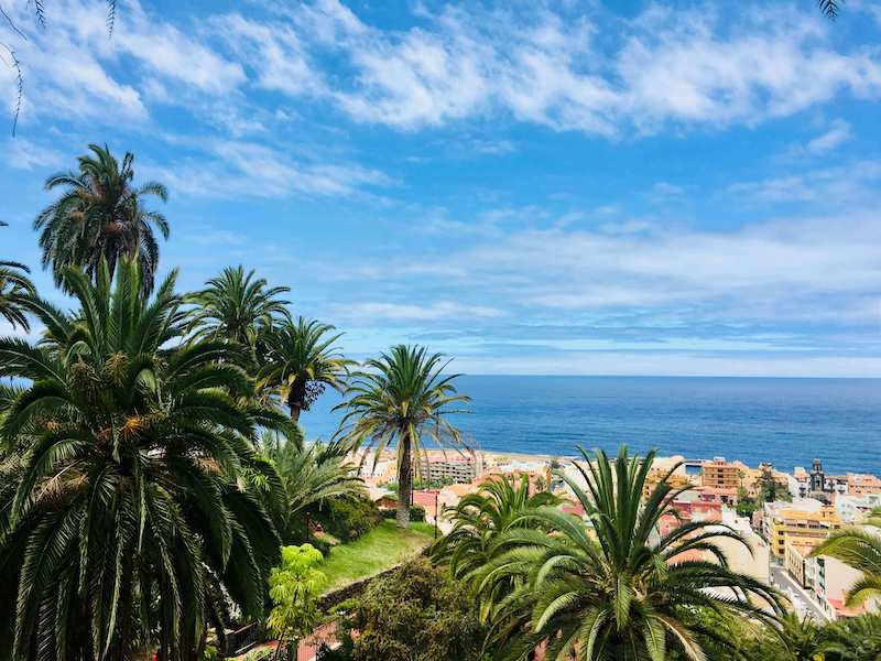 Spanish coastline palm trees blue skies