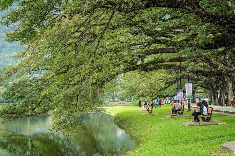 Taiping Lake Gardens for a Malaysia short getaway