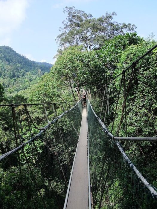 suspension bridge in Taman negara: Malaysia short getaway holiday