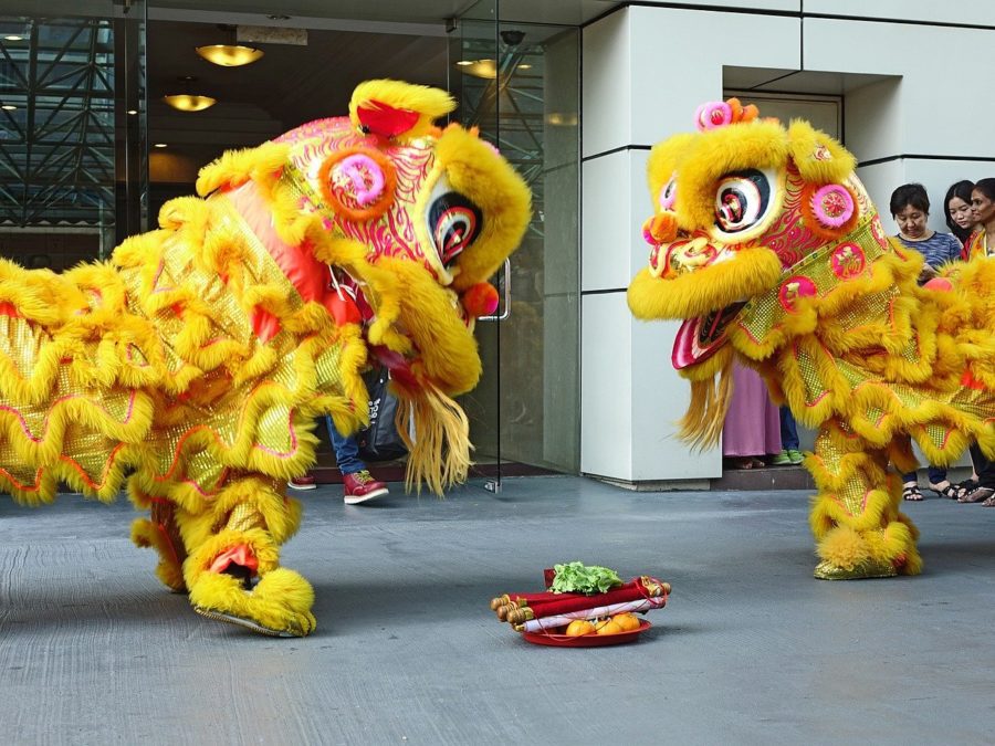 Lion dancing for Chinese New year