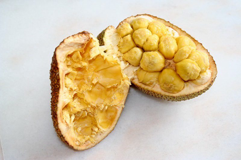 open cempedak fruit 