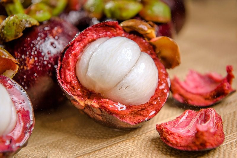 torn open mangosteen fruit of malaysia