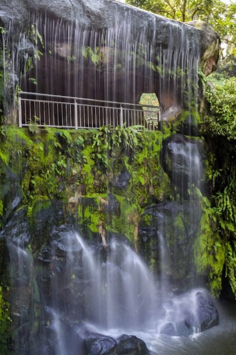 Waterfall surrounded by lush plants: green spaces to visit while living in KL