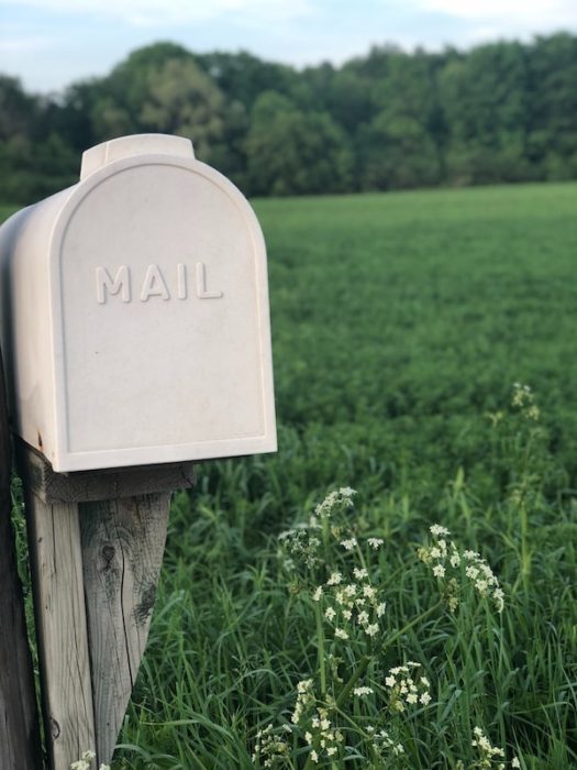 closet white mailbox in a green field