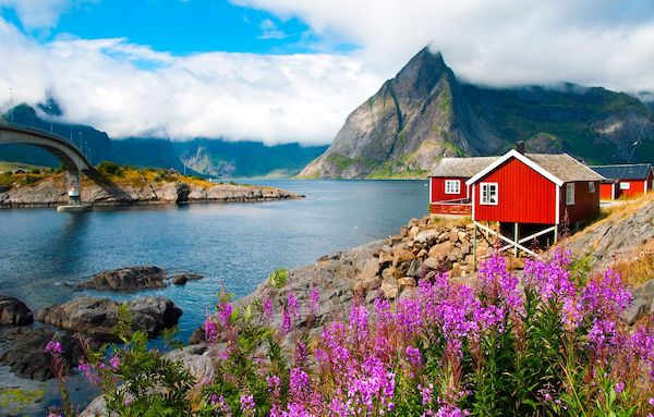 Red house along the coast with mountains in the background and  with purple wildflowers in the foreground