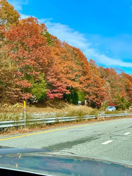 fall colors in new england