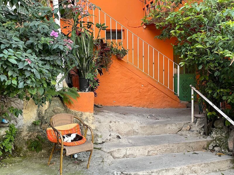 peaceful street view of cat sitting in front of an orange house in Puerto Vallarta