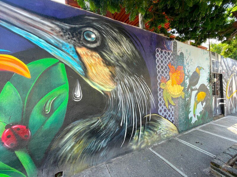 street art of a crying bird in Puerto Vallarta