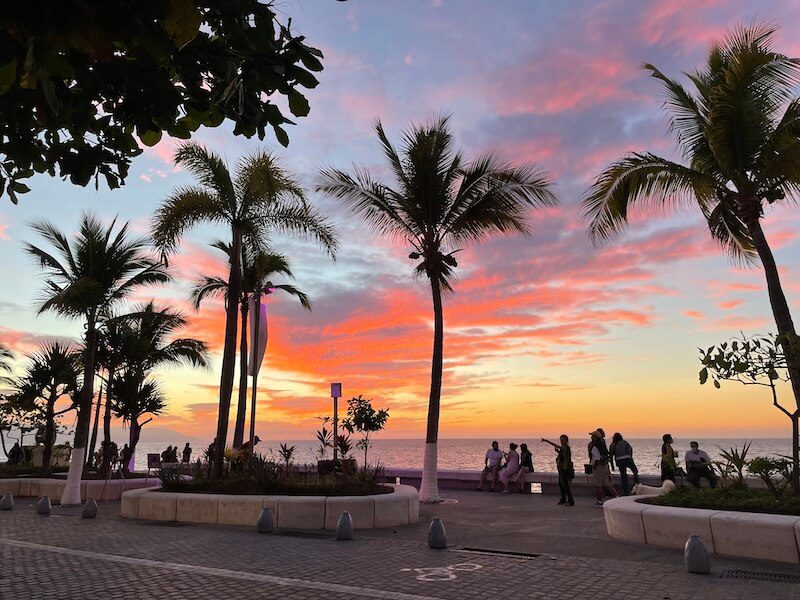  sunset and palms in Puerto Vallarta