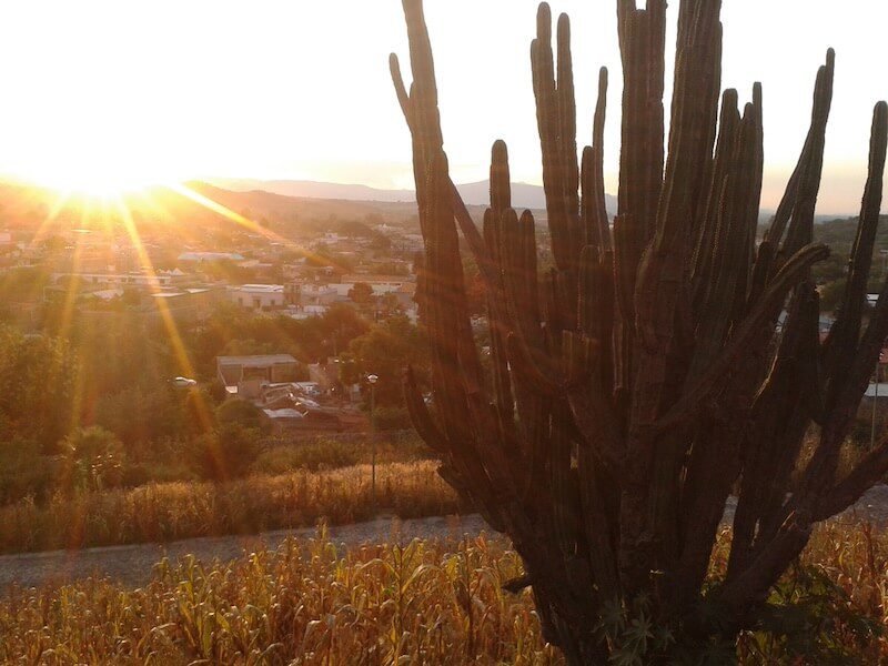 cocula mexico with cactus and sun