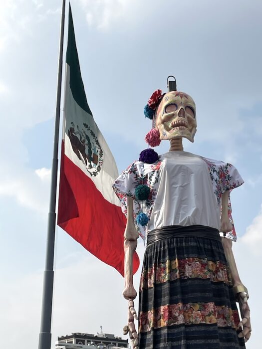 dia de muerto skeleton and flag 