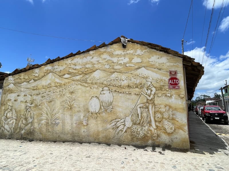 raicilla mural in Tuito